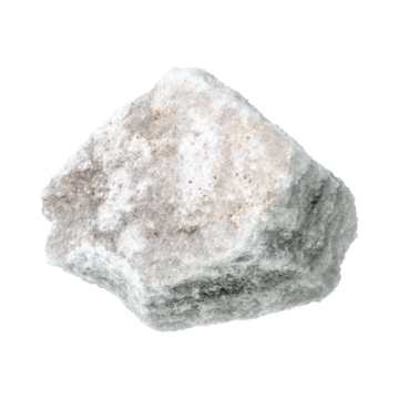 Fósil blanco